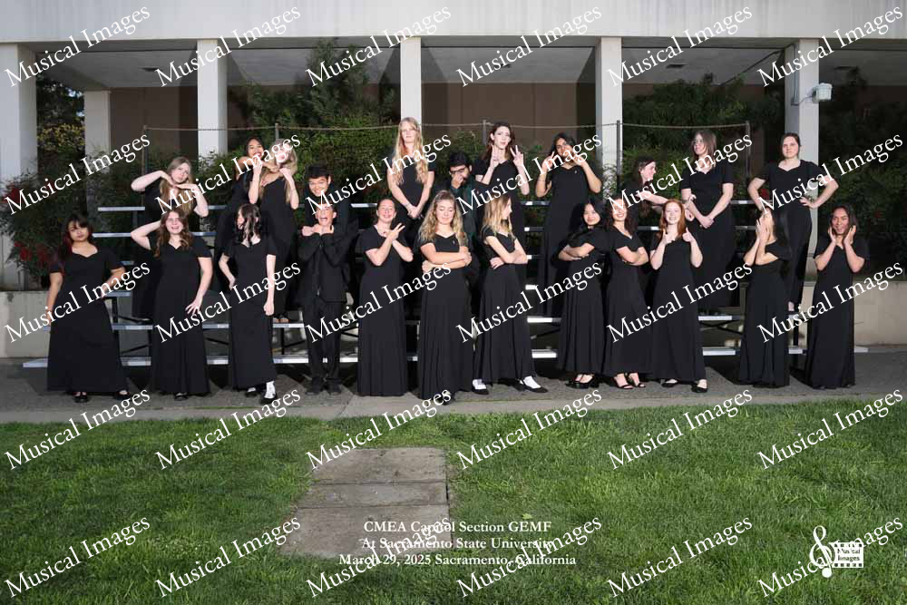 Musical Images